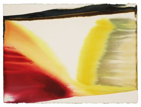 Paul Jenkins — Phenomena pointing east